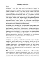 Samples 'Izpilddirektora amata apraksts', 1.