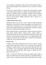 Samples 'Izpilddirektora amata apraksts', 3.