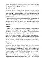 Samples 'Izpilddirektora amata apraksts', 4.
