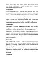 Samples 'Izpilddirektora amata apraksts', 5.