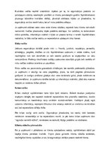Samples 'Izpilddirektora amata apraksts', 6.
