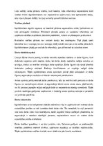 Samples 'Izpilddirektora amata apraksts', 8.