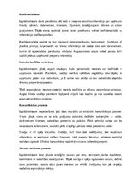 Samples 'Izpilddirektora amata apraksts', 9.