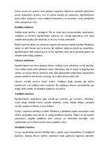 Samples 'Izpilddirektora amata apraksts', 10.