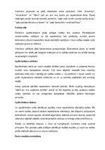 Samples 'Izpilddirektora amata apraksts', 13.