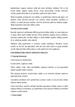 Samples 'Izpilddirektora amata apraksts', 14.