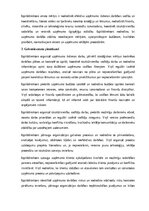 Samples 'Izpilddirektora amata apraksts', 15.