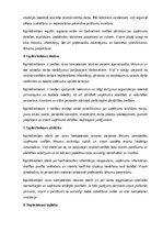 Samples 'Izpilddirektora amata apraksts', 16.