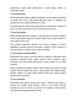 Samples 'Izpilddirektora amata apraksts', 18.