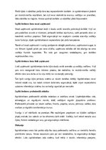Samples 'Izpilddirektora amata apraksts', 20.