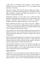 Samples 'Izpilddirektora amata apraksts', 22.