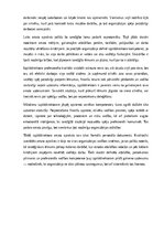 Samples 'Izpilddirektora amata apraksts', 23.