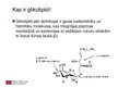 Presentations 'Glikolipīdi organismā', 3.
