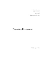 Research Papers 'Pasaules fenomeni', 1.