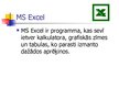 Presentations 'MS Word un Excel file print iespēju salīdzinājums', 3.