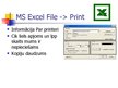 Presentations 'MS Word un Excel file print iespēju salīdzinājums', 5.