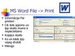 Presentations 'MS Word un Excel file print iespēju salīdzinājums', 9.