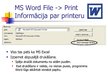 Presentations 'MS Word un Excel file print iespēju salīdzinājums', 10.