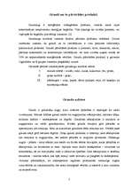 Research Papers 'Graudaugi', 2.