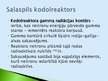 Presentations 'Kodolreaktori', 20.
