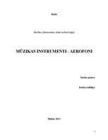 Research Papers 'Mūzikas instrumenti - aerofoni', 1.