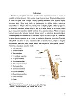 Research Papers 'Mūzikas instrumenti - aerofoni', 13.