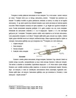 Research Papers 'Mūzikas instrumenti - aerofoni', 14.