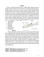 Research Papers 'Mūzikas instrumenti - aerofoni', 15.