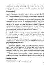 Term Papers 'Administratīvais process Liepājas pilsētas un rajona policijas pārvaldes Kārtība', 21.