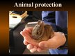 Presentations 'Animal Protection', 1.