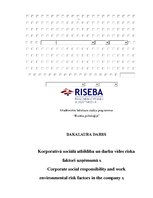 Term Papers 'Korporatīvā sociālā atbildība un darba vides riska faktori uzņēmumā', 1.