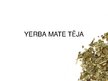 Summaries, Notes 'Yerba mate tēja', 9.