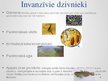 Presentations 'Invanzīvās sugas Latvijā', 5.