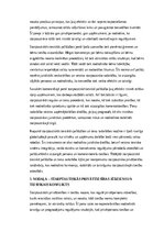 Summaries, Notes 'Starptautisko privāto tiesību normu piemērošana Latvijā: imperatīvo normu un ārv', 6.