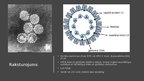 Presentations 'Vakcīna pret papilomas vīrusu', 2.