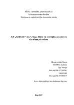 Research Papers 'A/S "AirBaltic" mārketinga vides un stratēģijas analīze un darbības plānošana', 1.