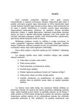 Research Papers 'A/S "AirBaltic" mārketinga vides un stratēģijas analīze un darbības plānošana', 3.