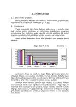 Research Papers 'A/S "AirBaltic" mārketinga vides un stratēģijas analīze un darbības plānošana', 7.