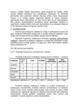 Research Papers 'A/S "AirBaltic" mārketinga vides un stratēģijas analīze un darbības plānošana', 13.