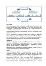 Research Papers 'A/S "AirBaltic" mārketinga vides un stratēģijas analīze un darbības plānošana', 20.