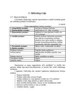 Research Papers 'A/S "AirBaltic" mārketinga vides un stratēģijas analīze un darbības plānošana', 23.