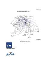 Research Papers 'A/S "AirBaltic" mārketinga vides un stratēģijas analīze un darbības plānošana', 34.