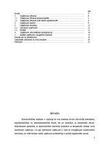 Research Papers 'Komersanta uzņēmums kā civiltiesību objekts', 2.