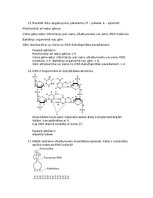 Summaries, Notes 'Pārbaudes darbs DNS noslēpumi', 6.