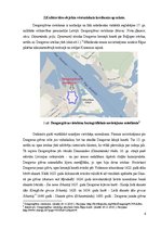 Research Papers 'Daugavgrīvas cietoksnis kā Rīgas kultūrvides sastāvdaļa - vides zinātniskais izv', 4.