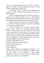 Term Papers 'A/s "Latvijas Balzams" - darbības efektivitāte, attīstības perspektīvas un tende', 20.
