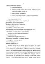 Term Papers 'A/s "Latvijas Balzams" - darbības efektivitāte, attīstības perspektīvas un tende', 21.