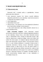 Term Papers 'A/s "Latvijas Balzams" - darbības efektivitāte, attīstības perspektīvas un tende', 41.