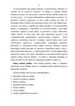 Term Papers 'A/s "Latvijas Balzams" - darbības efektivitāte, attīstības perspektīvas un tende', 42.