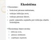 Presentations 'Infekcijas pārneses faktors - posmkāji', 12.